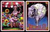 Filename=Legrande-769x500.jpg
Filesize=187KB
Dimensions=769x500
Date added=Feb 01, 2016 Legrande-769x500.jpg