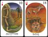 far-sight-lenormand-520x405.jpg